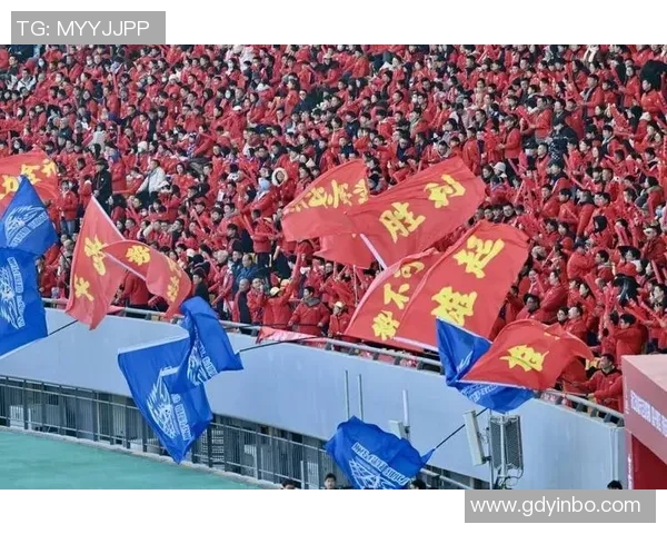 足球节目热潮来袭球迷狂欢尽享赛事精彩与背后故事