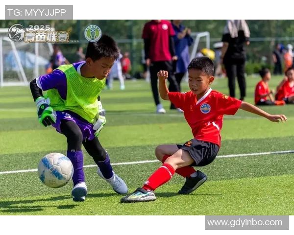 足球日记的魅力与成长记录探索球场上的激情与梦想